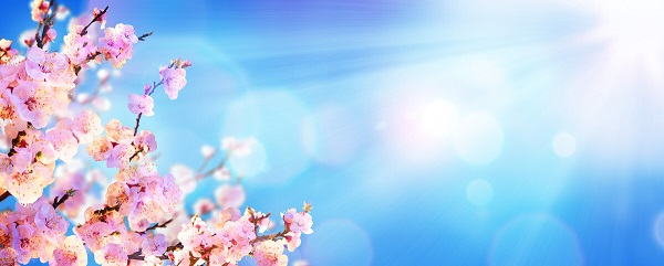 戰(zhàn)疫情，北京韋林公司全體員工齊心協(xié)力共克時(shí)艱！